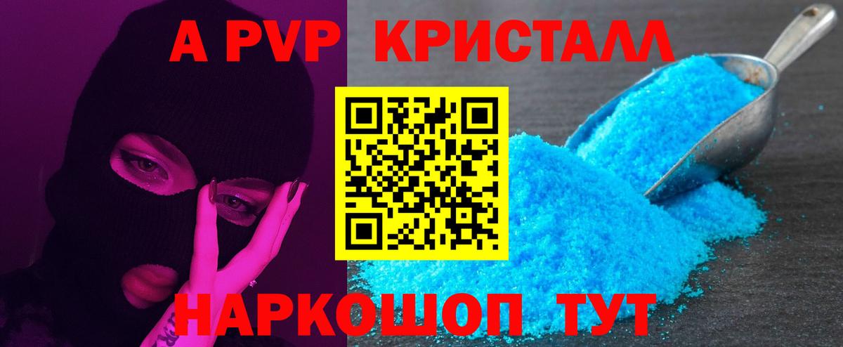 APVP СК Ногинск