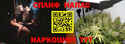 молекула духа Северобайкальск