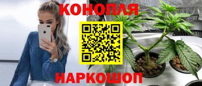 молекула духа Северобайкальск